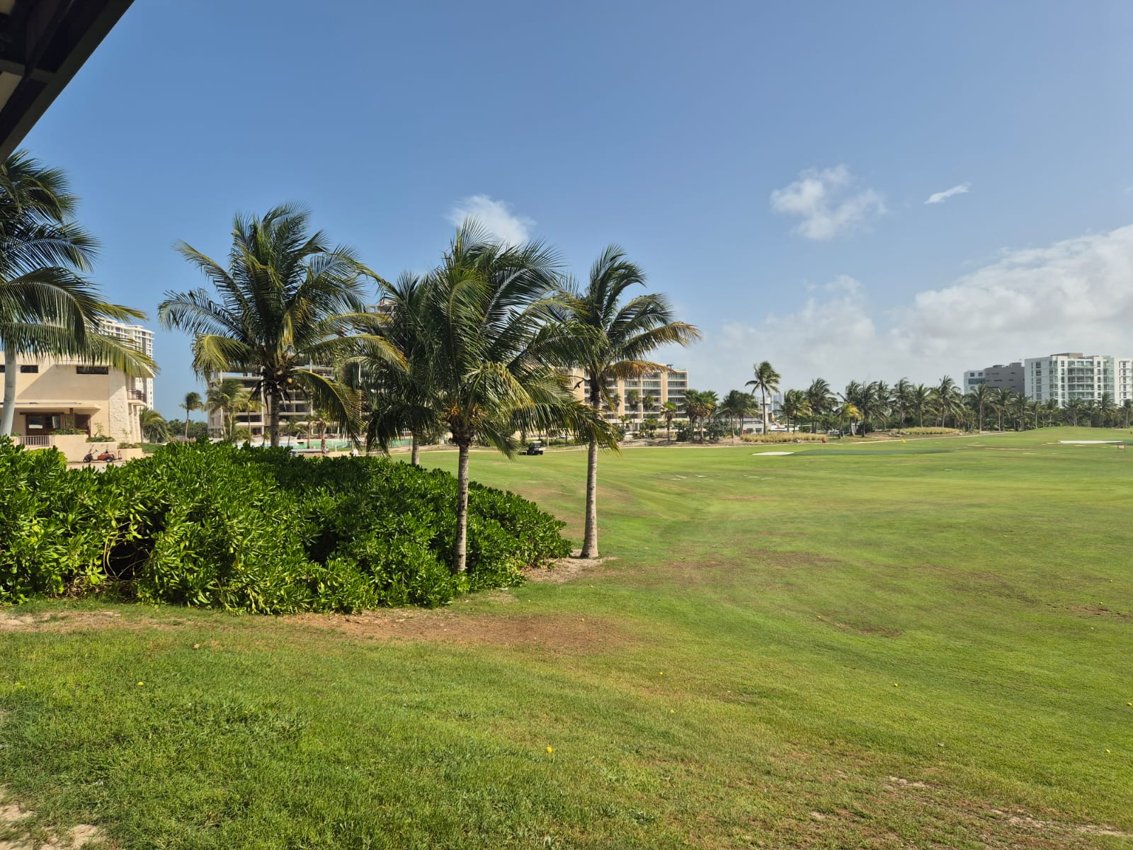 uploads/6/32/01 (1924).Jpeg